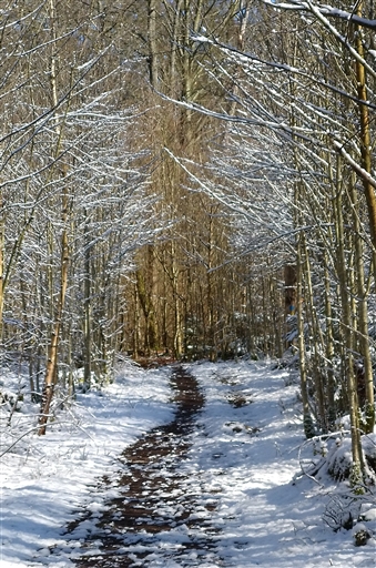 Bild uppladdad av Nicklas Nordborg