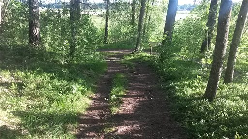 Bild uppladdad av Henrik Ortman