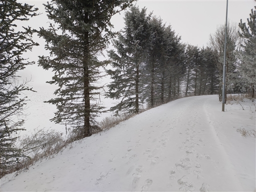 Bild uppladdad av Henke Slowrunner
