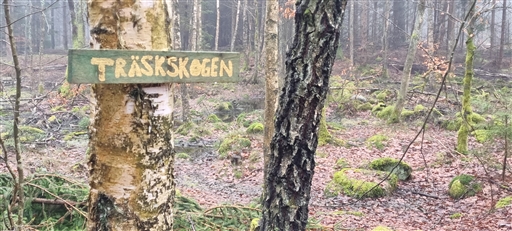 Bild uppladdad av Nicklas Nordborg