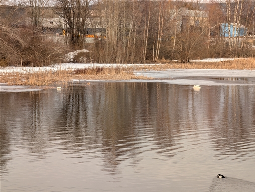 Promenad/Powerwalk 2026-04-04