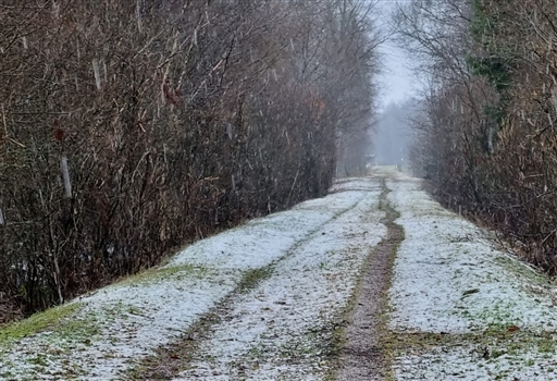 Bild uppladdad av Nicklas Nordborg