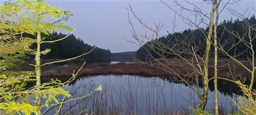 Bild uppladdad av Henrik Ortman