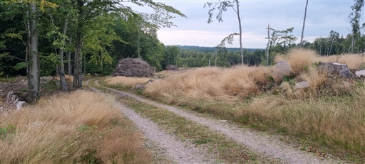 Bild uppladdad av Nicklas Nordborg