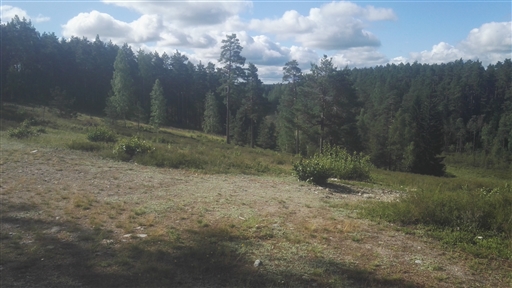 Bild uppladdad av Henrik Ortman