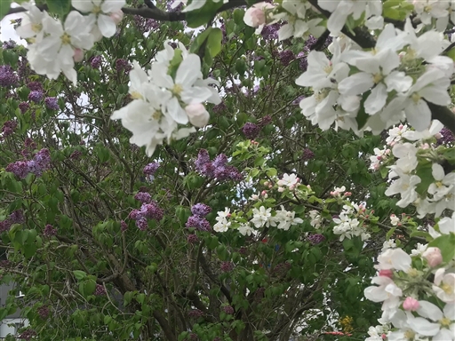 Bild uppladdad av Erik "Tricky" Fries