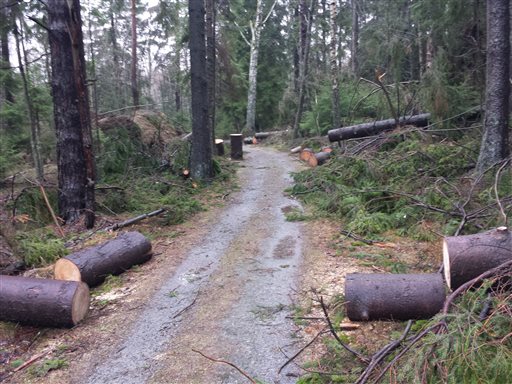 Bild uppladdad av Anders Pihl