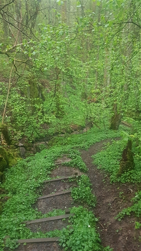 Bild uppladdad av Thomas Abrahamsson 