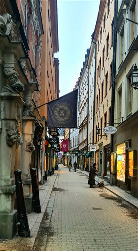 Morgonpass runt Riddarfjärden