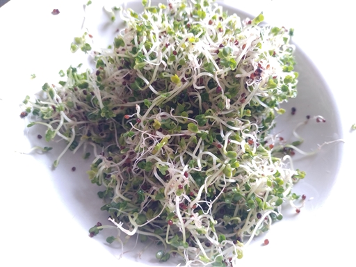 Bild uppladdad av Jens Sandahl