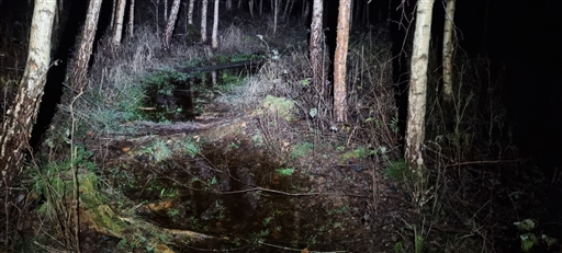 Bild uppladdad av Nicklas Nordborg