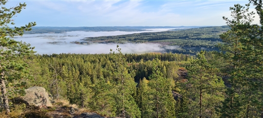 Bild uppladdad av Henrik Ortman