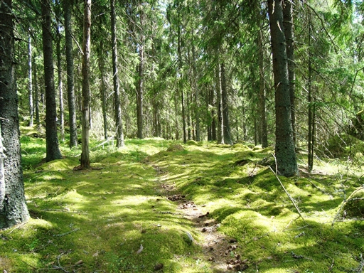 Bild uppladdad av Åsa 