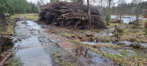 Bild uppladdad av Nicklas Nordborg