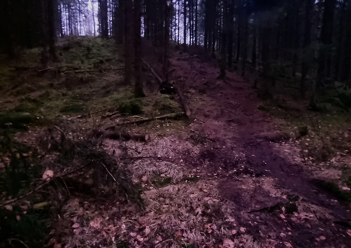 Bild uppladdad av Nicklas Nordborg