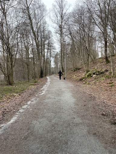 Bild uppladdad av Anonymiserad