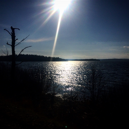 Bild uppladdad av Niklas Karlsson