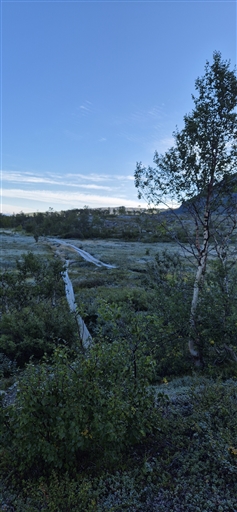 Bild uppladdad av Anna Elina Rönnbäck 