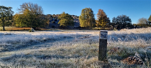 Bild uppladdad av Nicklas Nordborg