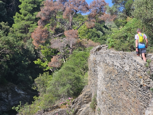 Bild uppladdad av Nicklas Nordborg