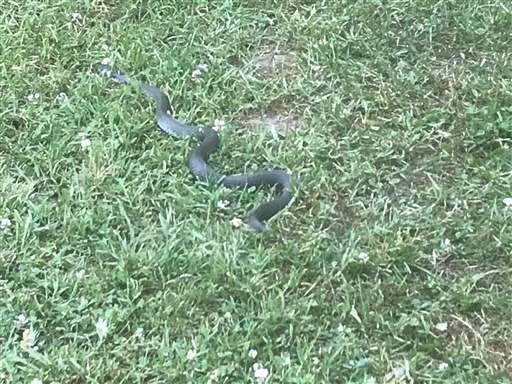 Bild uppladdad av Joakim Andersson