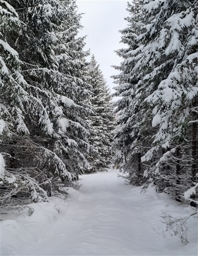 Bild uppladdad av Nicklas Nordborg