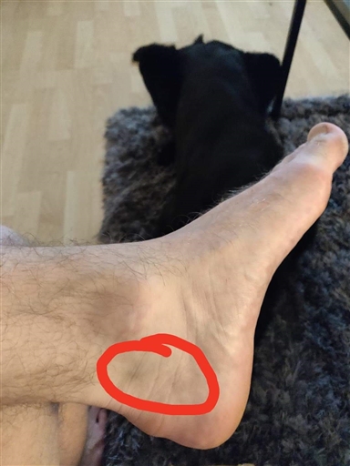 Bild uppladdad av Marcus