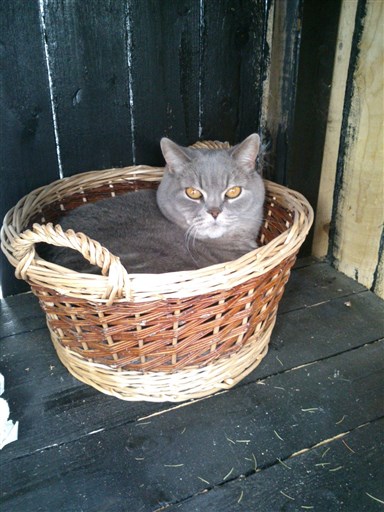 Bild uppladdad av Janne