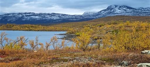 Bild uppladdad av Nicklas Nordborg