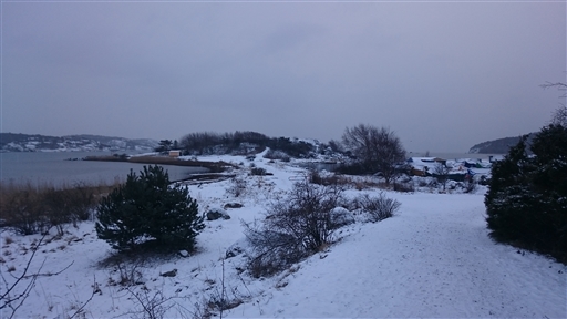 Bild uppladdad av Emelie Carlsson