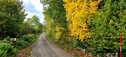 Bild uppladdad av Nicklas Nordborg