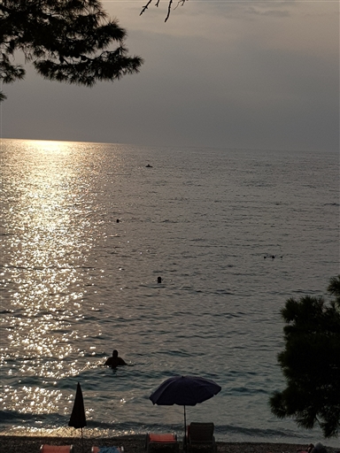 Bild uppladdad av Mille