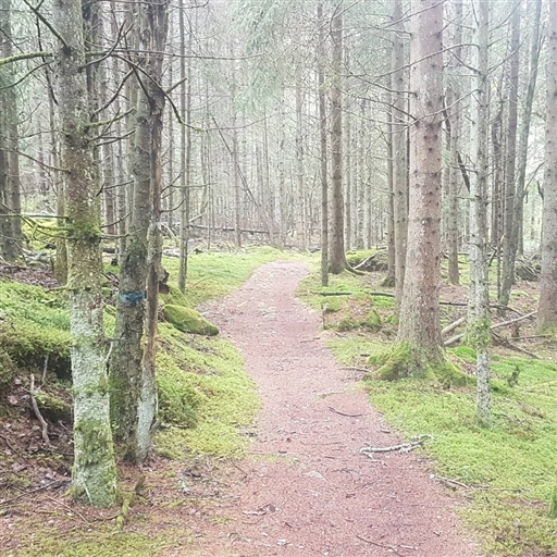 Bild uppladdad av Thomas Abrahamsson 