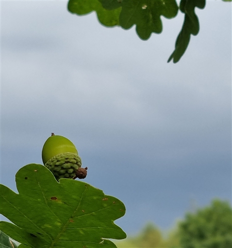 Bild uppladdad av Nicklas Nordborg