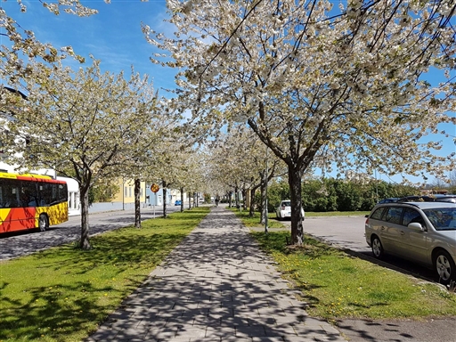 Bild uppladdad av Torbjörn Westman