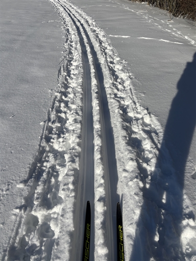 Bild uppladdad av Karin Nilsson