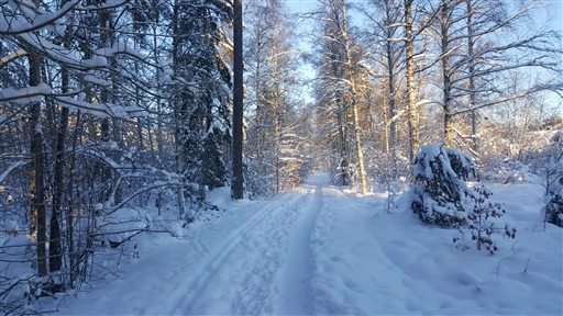 Bild uppladdad av Kalle Kula