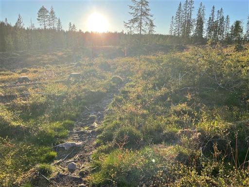 Bild uppladdad av Anonymiserad