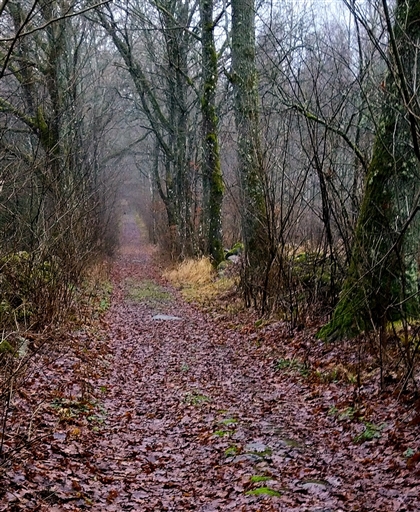 Bild uppladdad av Nicklas Nordborg