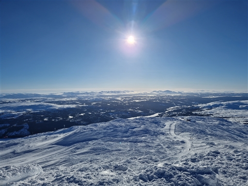 Bild uppladdad av Daniel Berglund