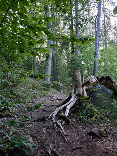 Bild uppladdad av Samuel