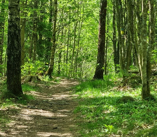 Bild uppladdad av Nicklas Nordborg