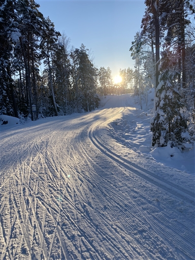 Bild uppladdad av Kicki Dahlberg 