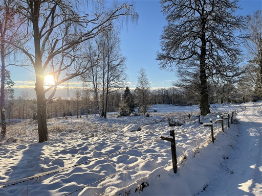 Bild uppladdad av Anonymiserad