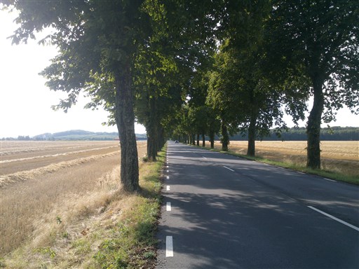 Bild uppladdad av Janne