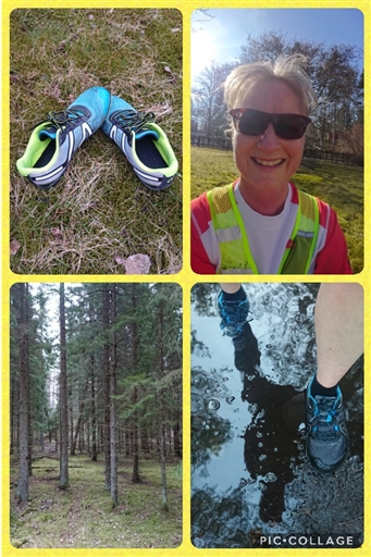 Bild uppladdad av Jenny Nilsson