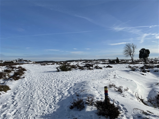 Bild uppladdad av Mathias Johansson