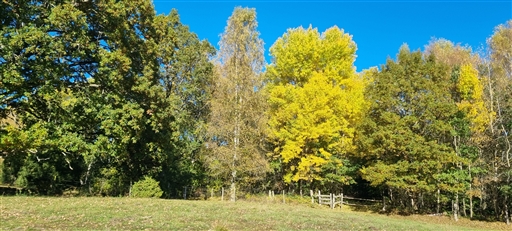 Bild uppladdad av Nicklas Nordborg