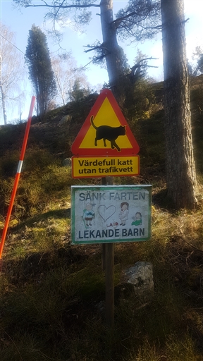 Bild uppladdad av Thomas Abrahamsson 