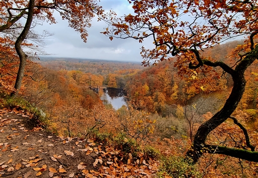 Bild uppladdad av Nicklas Nordborg